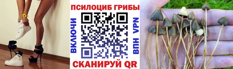 Купить закладки Дрезна Галлюциногенные грибы Magic Shrooms